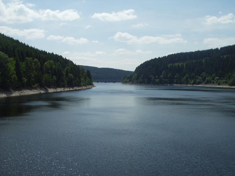P1010009