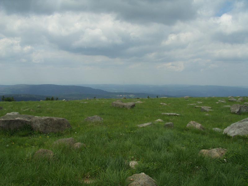 P1010014