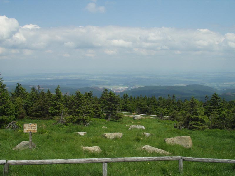 P1010020