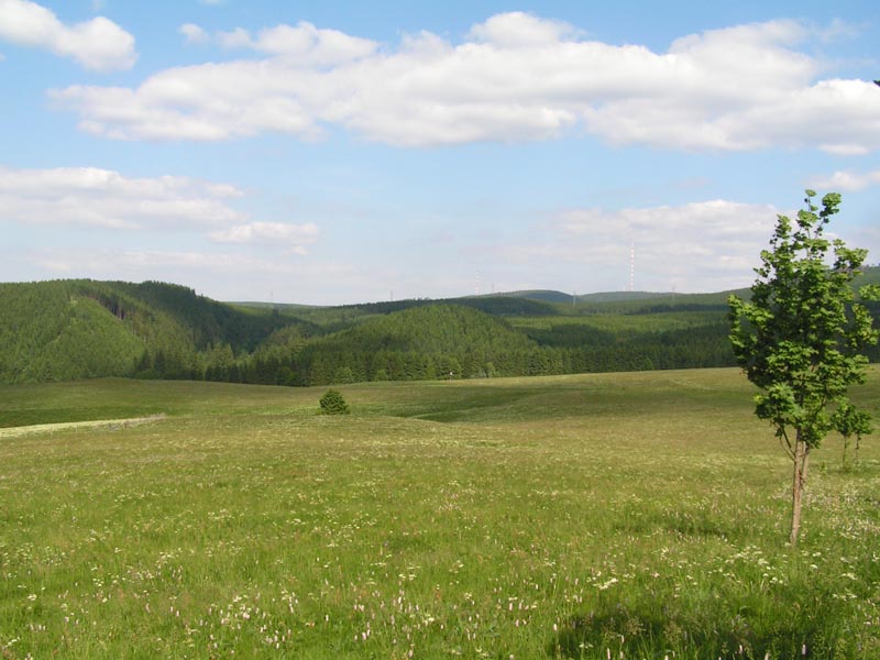PICT0016